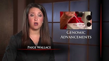 The Angus Report, June 17, 2013: Practical Applications