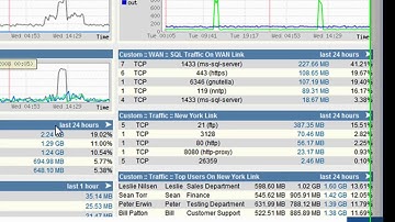 Quick Introduction To The LANGuardian System