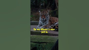 Start NOW and Change Your Life FOREVER with This Simple Mindset Shift