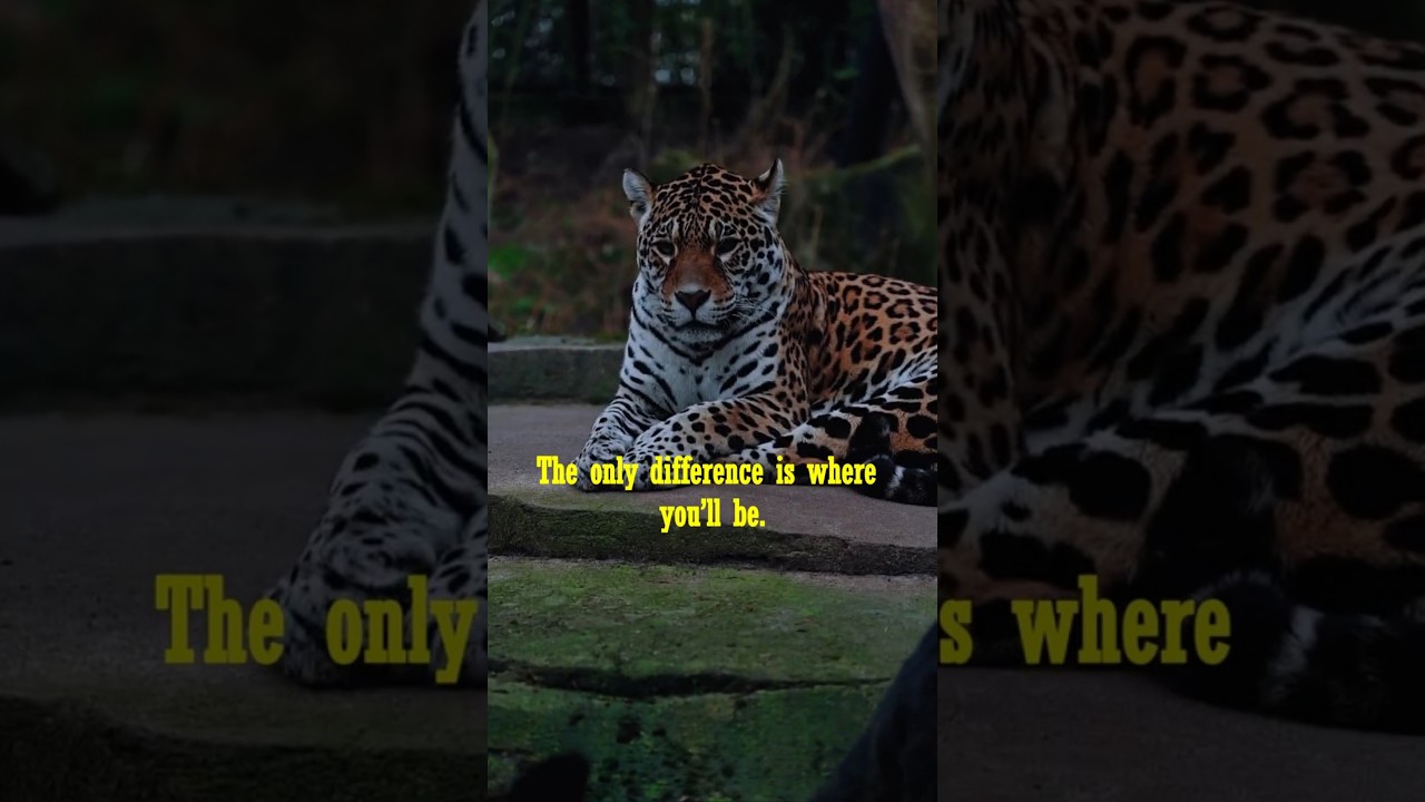 Start NOW and Change Your Life FOREVER with This Simple Mindset Shift