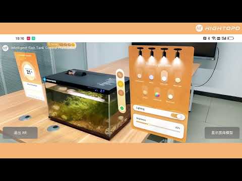 Augmented Reality (AR)