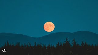 Chill Jazz x Soulful Beat - No Worries | FREE FOR PROFIT