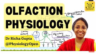 Olfactory system anatomy and physiology , pathways | Special senses