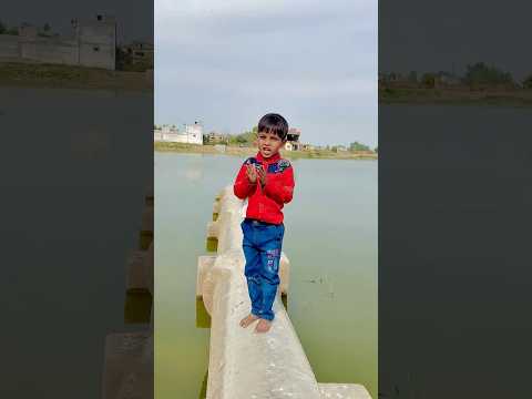 Teri Saari wish