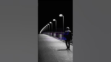 سورة النساء | القارئ : طارق محمد