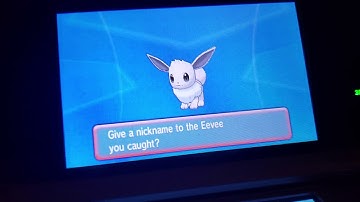SHINY EEVEE AFTER AN 18 ENCOUNTER DEXNAV CHAIN (Pt.2)