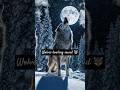 Wolves howling sounds 🐺#trendingshorts #wolves #animals #viral