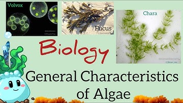 General Characteristics of Algae /UG/PG/Botany/ Tamil