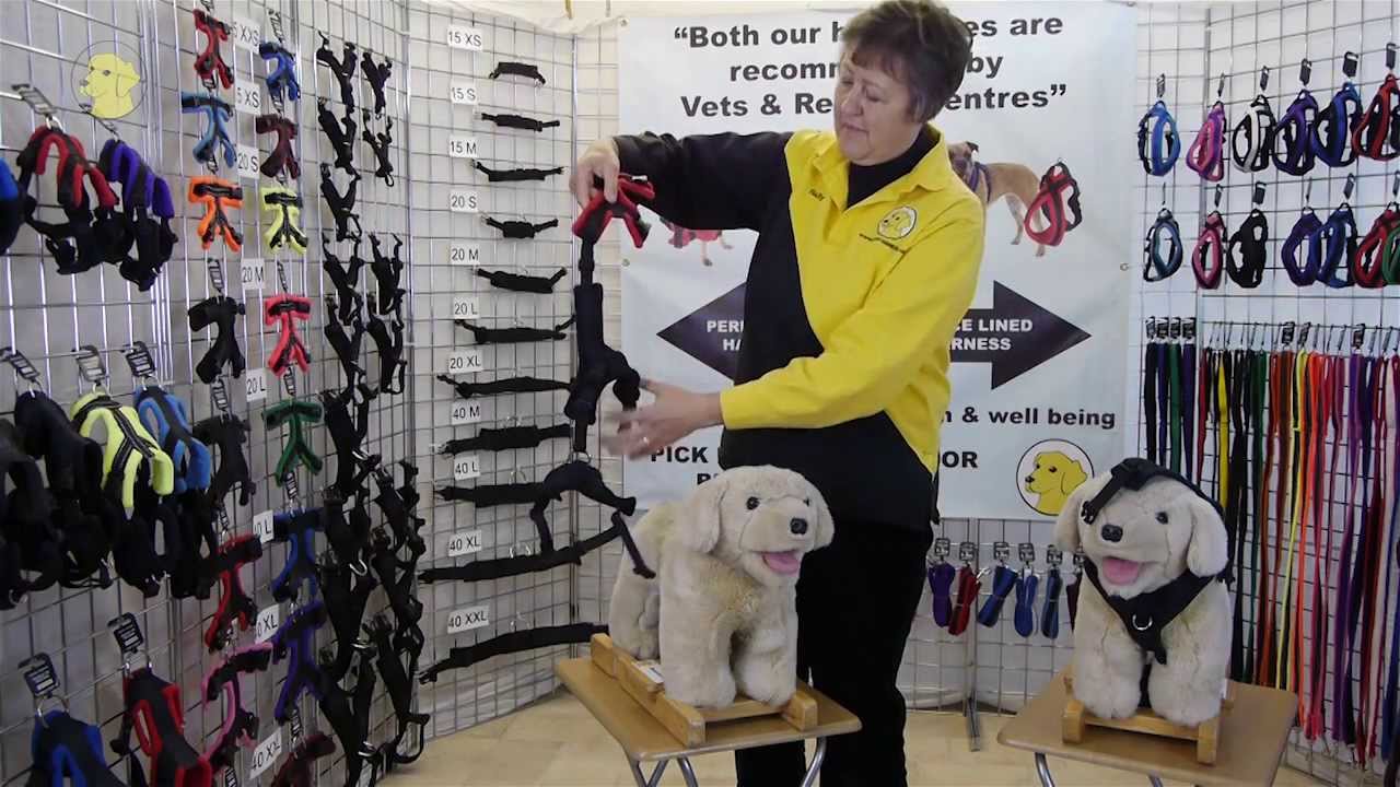 pets at home perfect fit harness