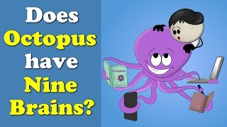 Does Octopus have Nine Brains? + more videos | #aumsum #kids #science #education #children