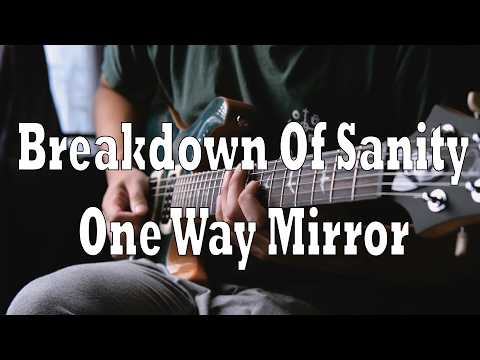 One Way Mirror - Breakdown Of Sanity