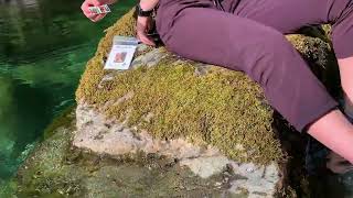 Wise H20 App Demonstration