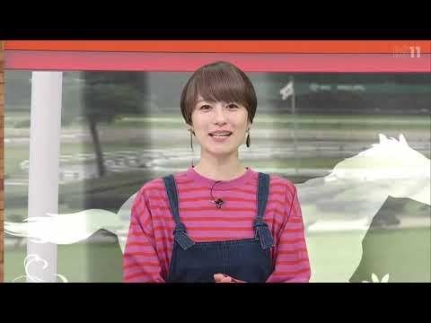 アグネスデジタル　の凄さが分かる動画