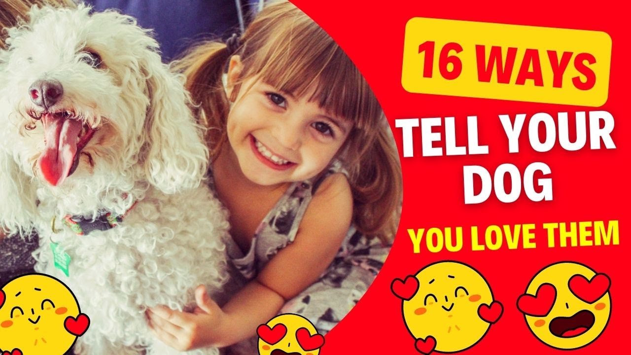 16 Ways To Tell Your Dog You Love Them - YouTube