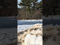 Lil Guy exercise #harnessracing #lifeisbutadream #horse #horseracing #standardbred #maine