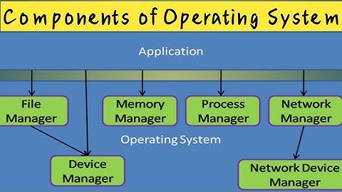 Components of Operating System  || ADS || Function of Operating System Hindi /Urdu