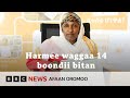 Feestaala Gurgurtee Biyya Nuuf Ijaarte Naan Jedhu BBC News Afaan Oromoo