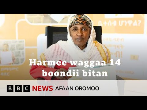 Feestaala Gurgurtee Biyya Nuuf Ijaarte Naan Jedhu BBC News Afaan Oromoo