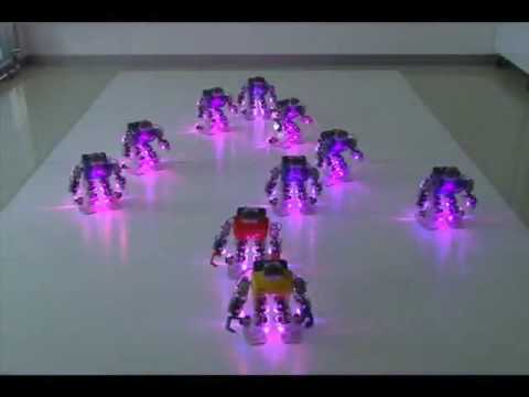 RoboBuilder Xmas Dance Routine