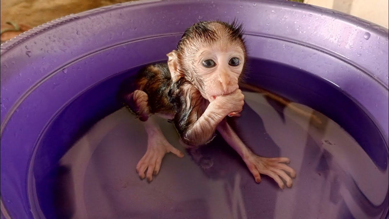 Том... ты такой милый, когда принимаешь душ вот так.