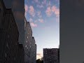 #доброеутро#сдобрымутром#видео#моменты#жизни