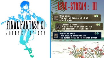 Final Fantasy XI Offline: Let