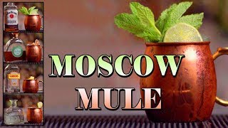 How To Make a Moscow Mule Top 10 Variations
