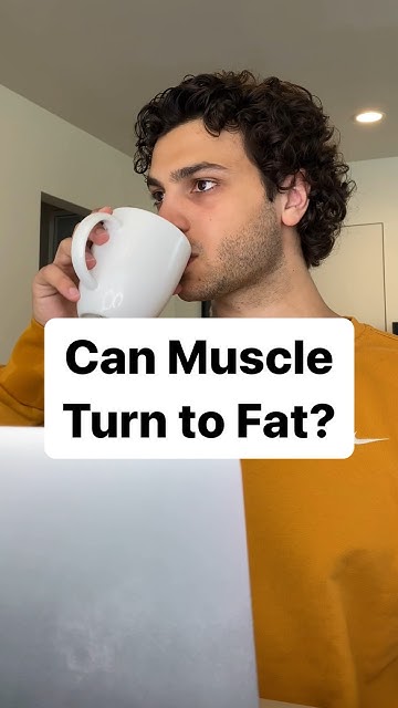 does-muscle-turn-to-fat-if-you-stop-working-out-shorts-youtube