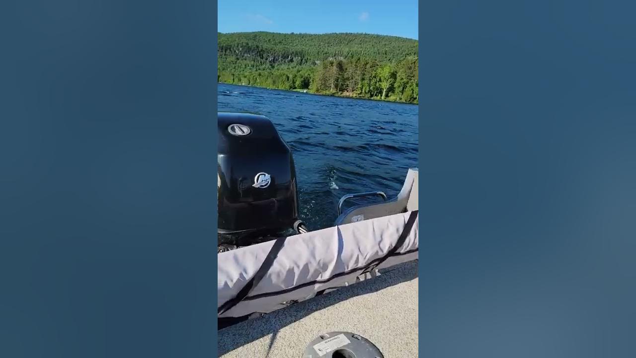 mercury optimax 115 hp 2 stroke 2006 YouTube