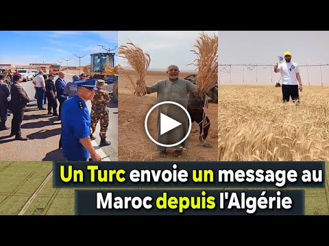 Algérie Un témoin turc envoie un message au Maroc depuis la récolte du désert algérien... .