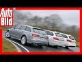 Audi A6 Avant vs. BMW 520d Touring vs. Mercedes E 250 T-Modell