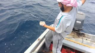 صيد الهامور في جدة 5