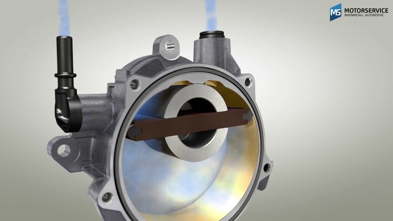 Slink Wereldbol Geladen MotorService - How does a vacuum pump work - YouTube