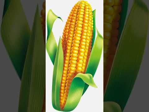 Brazil Investing In Corn Farming Quick Idea