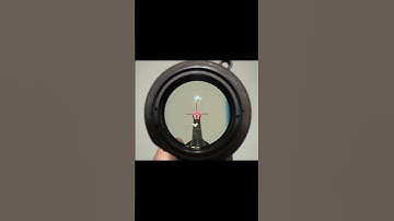 Elcan SPECTER POV testing before the range. QVO mount #POV #cod #codwarzone #GAMING