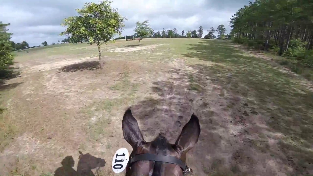 XC Helmet Cam: Reloaded (Novice | 2018 Stable View Summer Horse Trials)