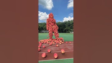 Apple🍎# Original Works# Original Video# Original Animation# Shake Sound Original Animation