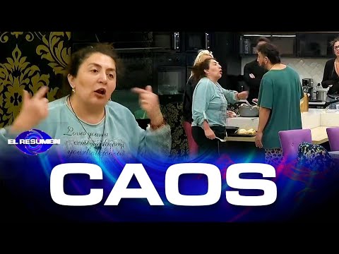 🚨Pincoya A LOS GRITOS SACADA contra HANSSEN Y COLA | IMÁGENES DE CÁMARA EXCLUSIVA 