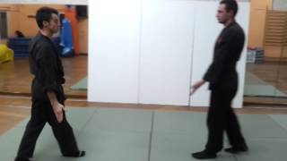 Traditional Japanese Martial Arts Uke Gata | Jodan Uke against Fudo Ken