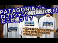 【パタゴニア】大人気のP-6ロゴTシャツを3種類比較します【サイズ】