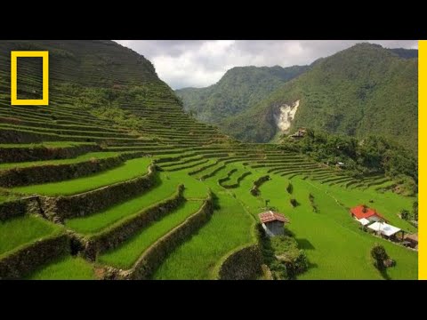 Soar Over the Lush Rice Terraces of the Philippines | National Geographic