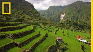 Soar Over the Lush Rice Terraces of the Philippines | National Geographic