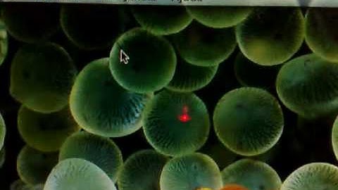 Mac os X Leopard e Windows 7 Dual Boot Aspire One AOA 150