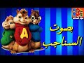 اغنيه السالمونيلا عشان تبقي تقولي لا mp3