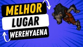 Melhor Lugar Pra Caçar Werehyaena, Werehyaena Shaman Tibia Hunt TASK e Bestiary