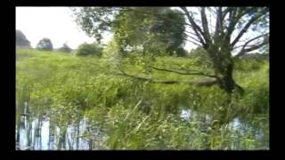 Река Овсянка видеообзор часть 4 заброшенная деревня (2014 бесплатно)