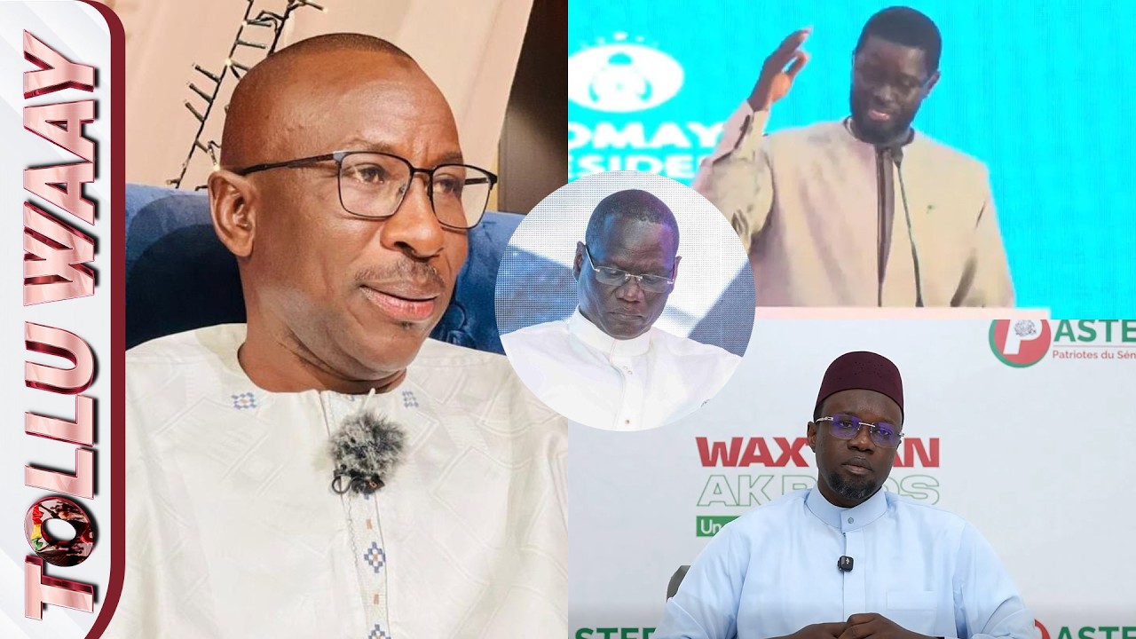Samba Tall Sarr, membre de Pastef, est l’invité de l’émission Tolluwayy