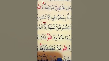 سورة البقرة الأية 229 القارئ مشاري راشد العفاسي