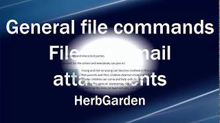Files as email attachments