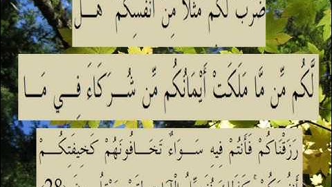 القران الكريم سورة الروم الأية 28.wmv